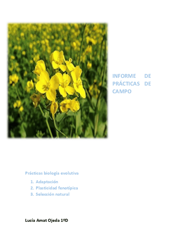 Miniatura del documento INFORME-DE-PRACTICAS-DE-CAMPO-BIO-EVO-1.pdf