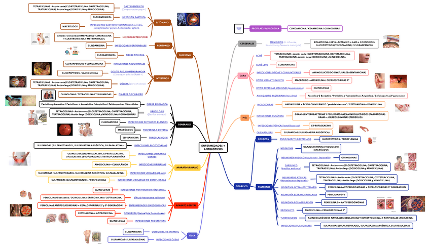 Miniatura del documento ENFERMEDADES--ANTIBIOTICOS.pdf