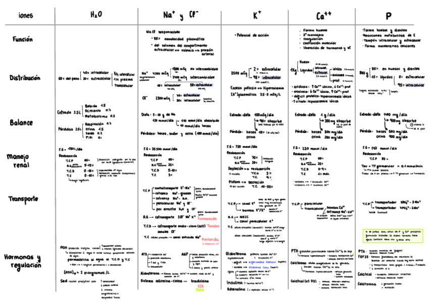 Miniatura del documento Esquema-Iones.pdf