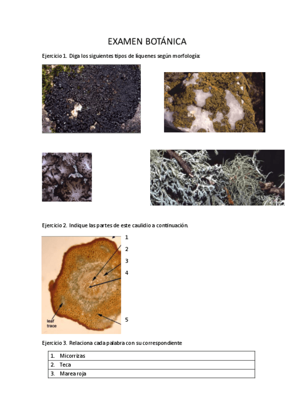 Miniatura del documento EXAMEN-BOTANICA.pdf