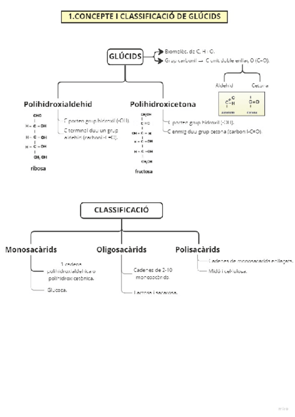 Miniatura del documento GLUCIDS-I-LIPIDS.pdf