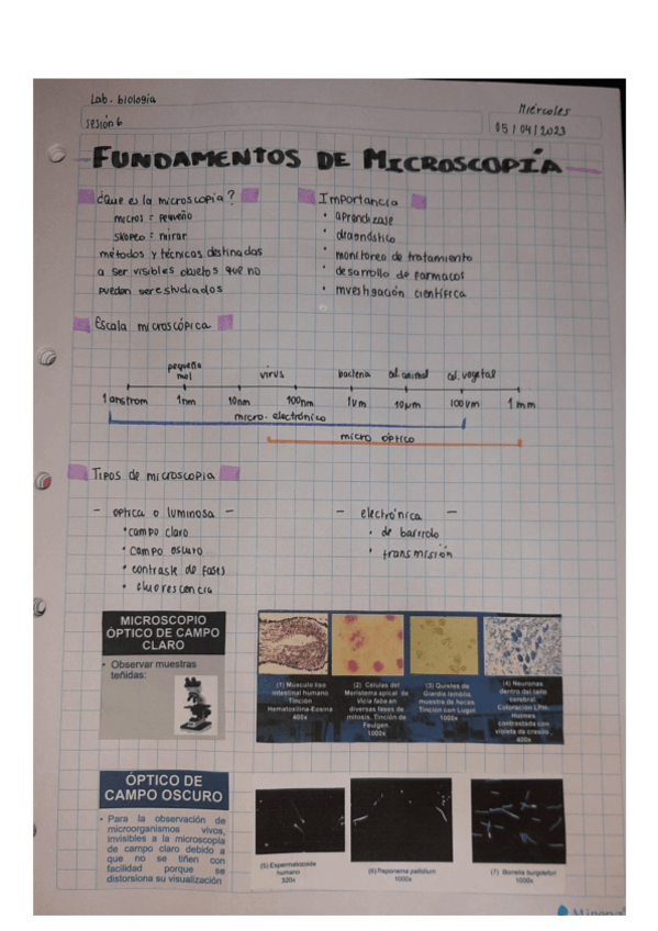 Miniatura del documento Microscopia-BIO-LAB-Semana-2.pdf