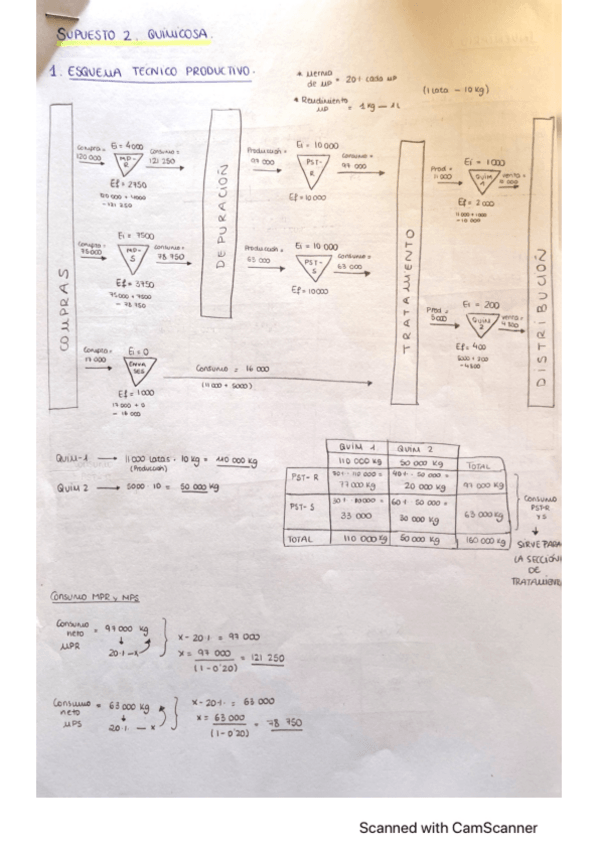 Miniatura del documento Supuesto-2-QUIMICOSA.pdf