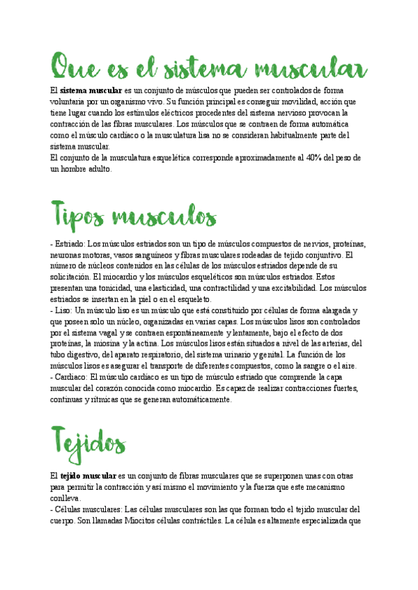 Miniatura del documento Resumen-Anatomia.pdf