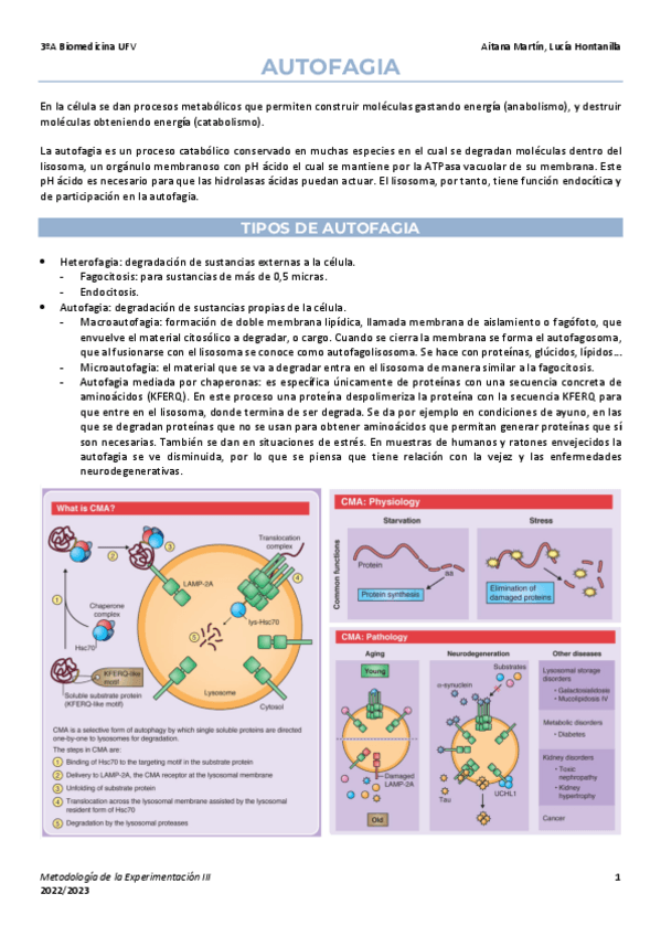 Miniatura del documento 1.-Autofagia.pdf