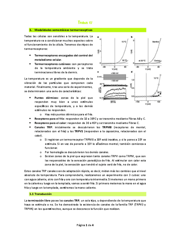 Miniatura del documento Tema-67.pdf