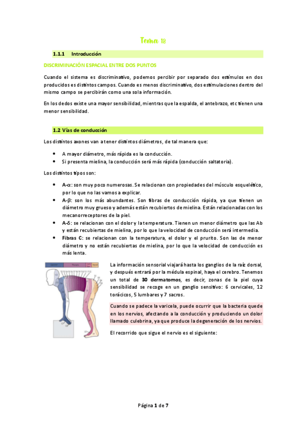 Miniatura del documento Tema-19.pdf