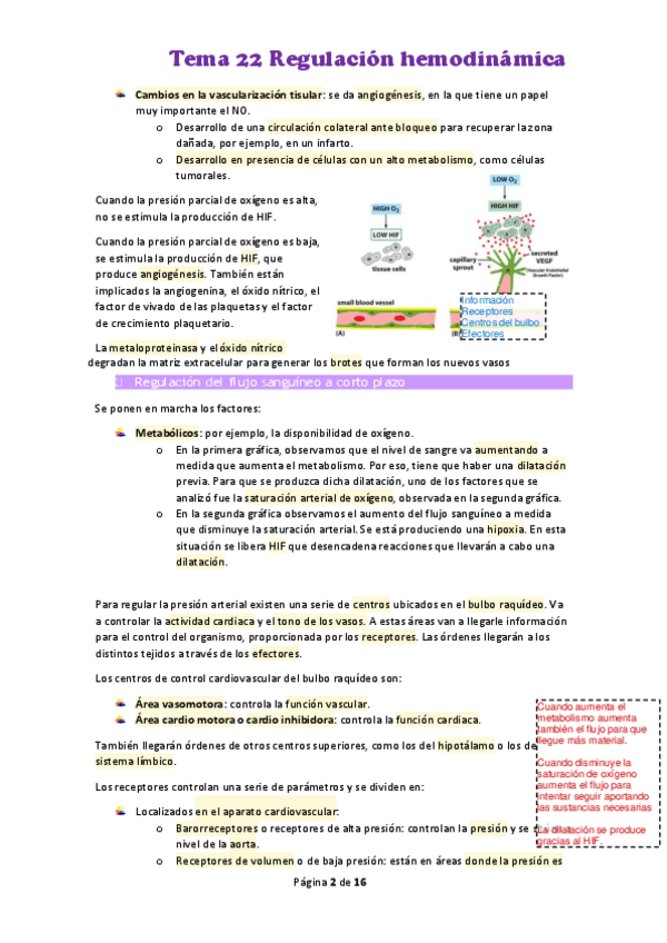 Miniatura del documento Tema-22-Regulacion-hemodinamica.pdf