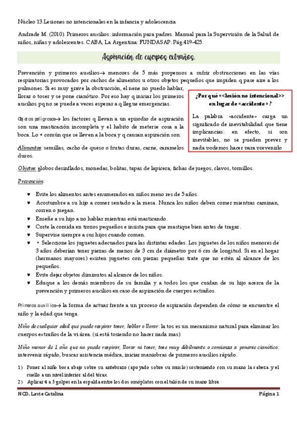 Miniatura del documento Nucleo-13-ncd.pdf