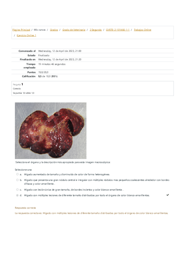 Miniatura del documento Ejercicio-Online-1.pdf