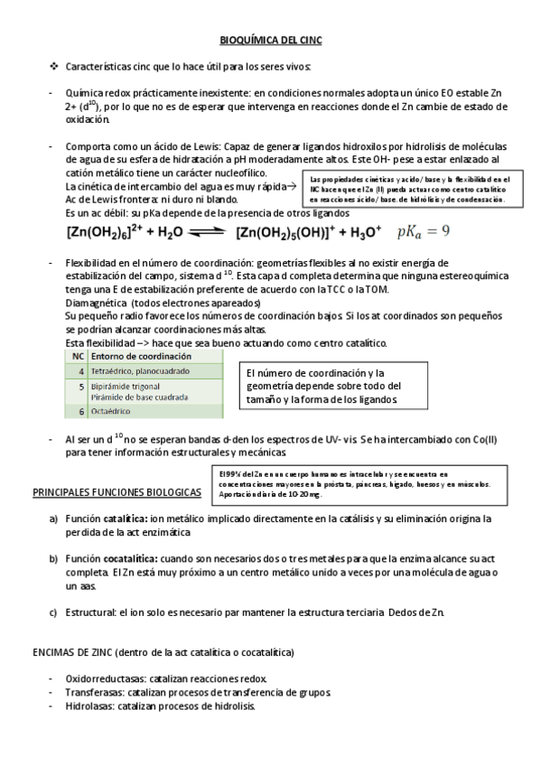 Miniatura del documento bioquimica del Zn - Wuolah.pdf