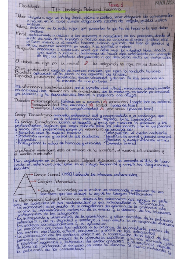 Miniatura del documento Deontologia-Miguel.pdf