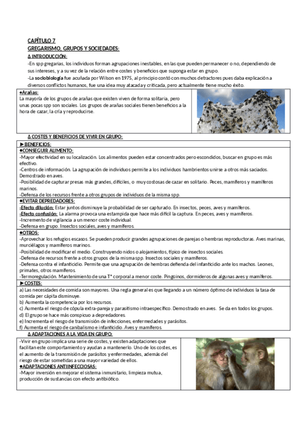 Miniatura del documento Apuntes Libro de Soler Capitulo 7.pdf