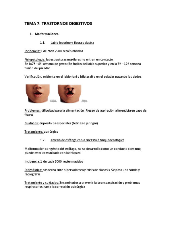 Miniatura del documento TEMA-7-IN.pdf