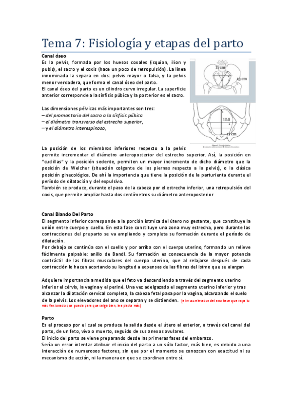 Miniatura del documento Tema-7.pdf