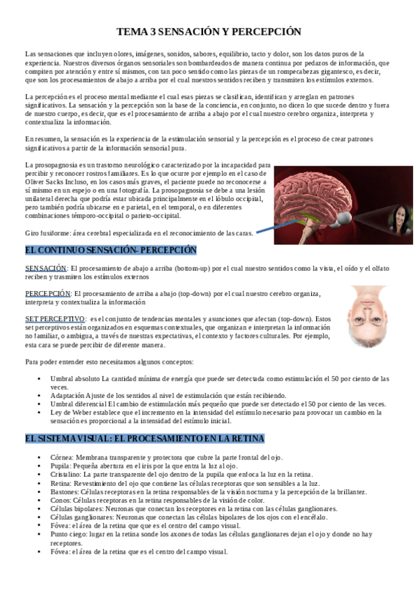 Miniatura del documento TEMA-3.pdf