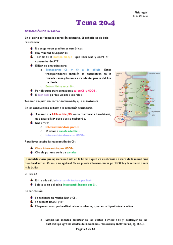 Miniatura del documento Tema-fisio-1-20.pdf