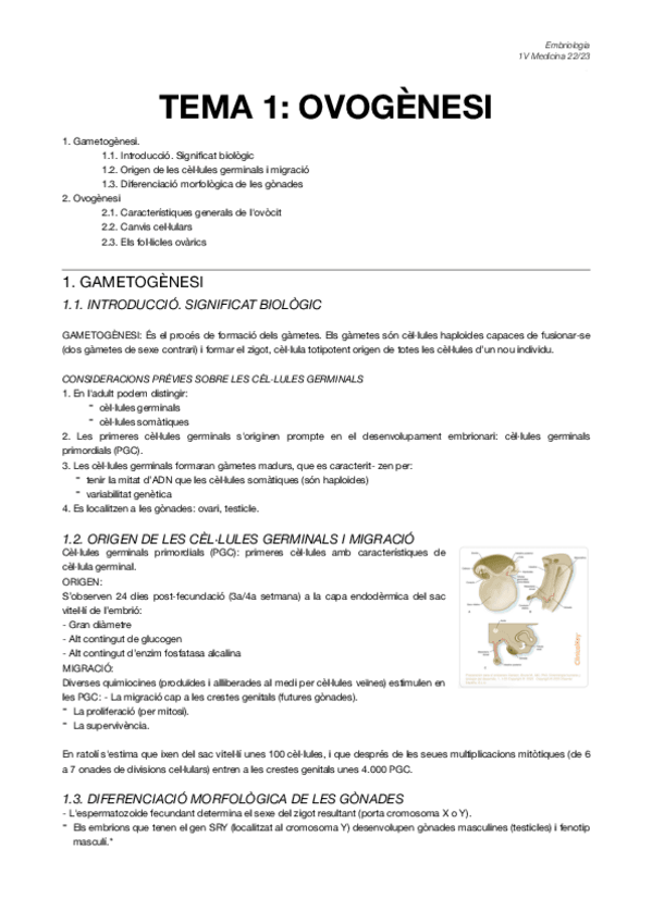 Miniatura del documento Tema-1-Embriologia.pdf