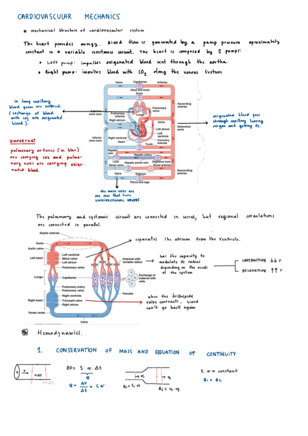 Miniatura del documento BF-I-HEMODYNAMICS.pdf