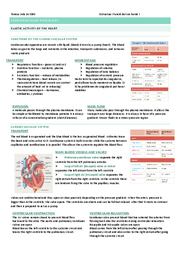 Miniatura del documento CARDIOVASCULAR-PHISIOLOGY.pdf