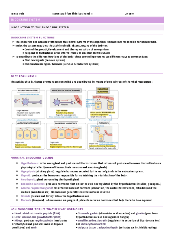 Miniatura del documento ENDOCRINE-SYSTEM-PHISIOLOGY.pdf