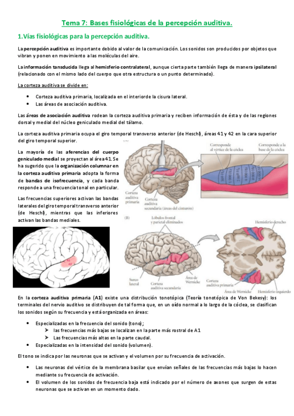 Miniatura del documento SPA-Tema-7.pdf