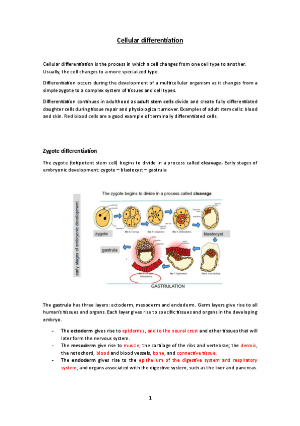 Miniatura del documento Cellular-differentiation.-Introduction-to-cells-and-tissues.pdf