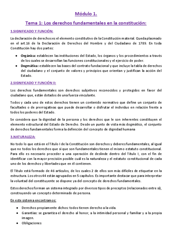 Miniatura del documento Modulo-1-derechos-fundamentales.pdf