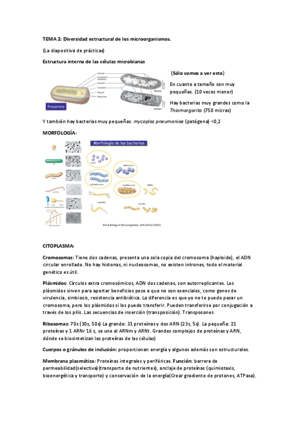 Miniatura del documento TEMA-2-micro.pdf