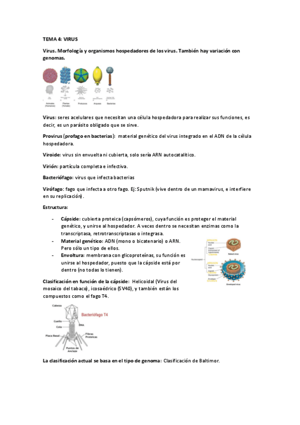 Miniatura del documento TEMA-4-micro.pdf