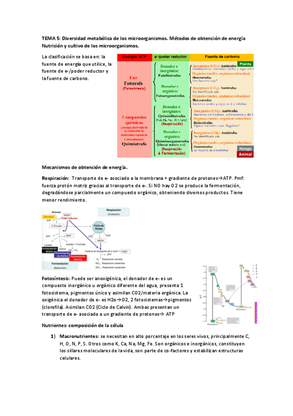 Miniatura del documento TEMA-5-MICRO.pdf