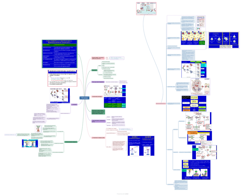 Miniatura del documento tema-11.A-esquema.pdf