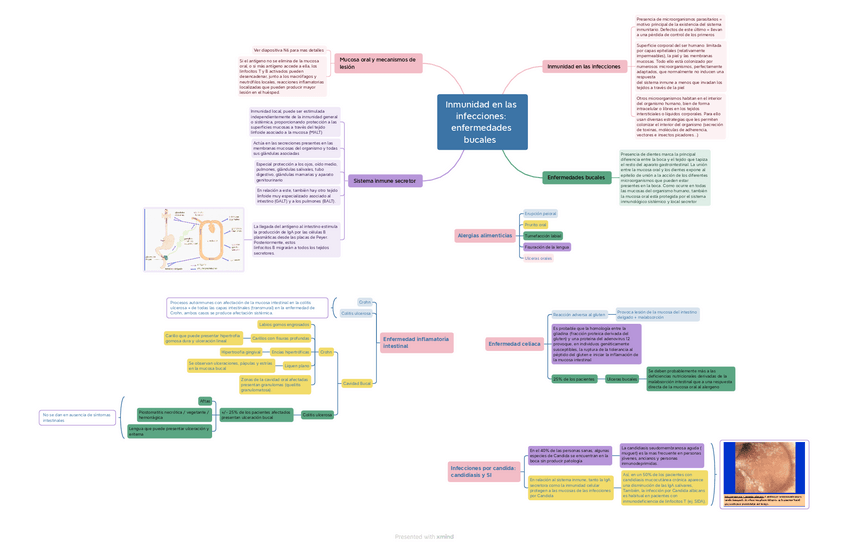 Miniatura del documento Inmunidad-en-las-infecciones-enfermedades-bucales.pdf