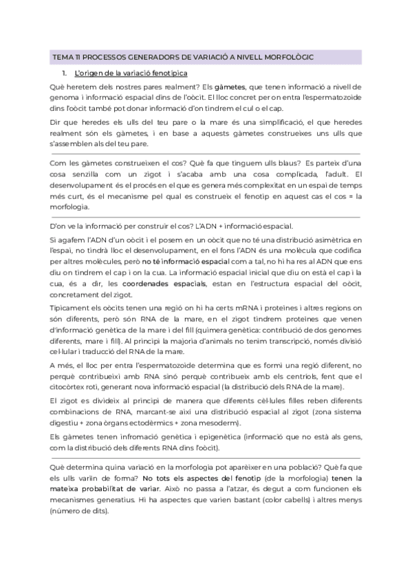 Miniatura del documento Tema11.pdf