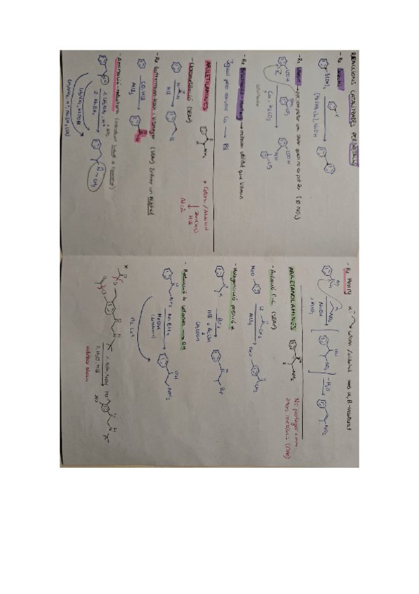 Miniatura del documento TOTES-REACCIONS-PARCIAL.pdf