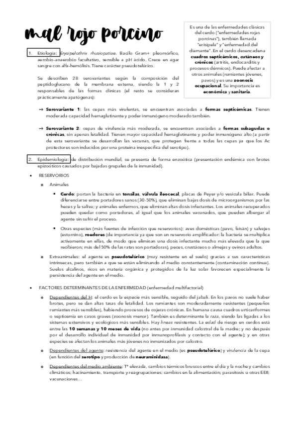 Miniatura del documento 2º-Parcial-Mal-rojo-porcino.pdf