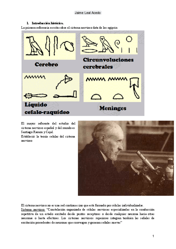 Miniatura del documento Tema 10: Sistema nervioso.pdf