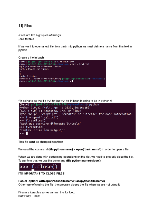 Miniatura del documento 11-Files.pdf