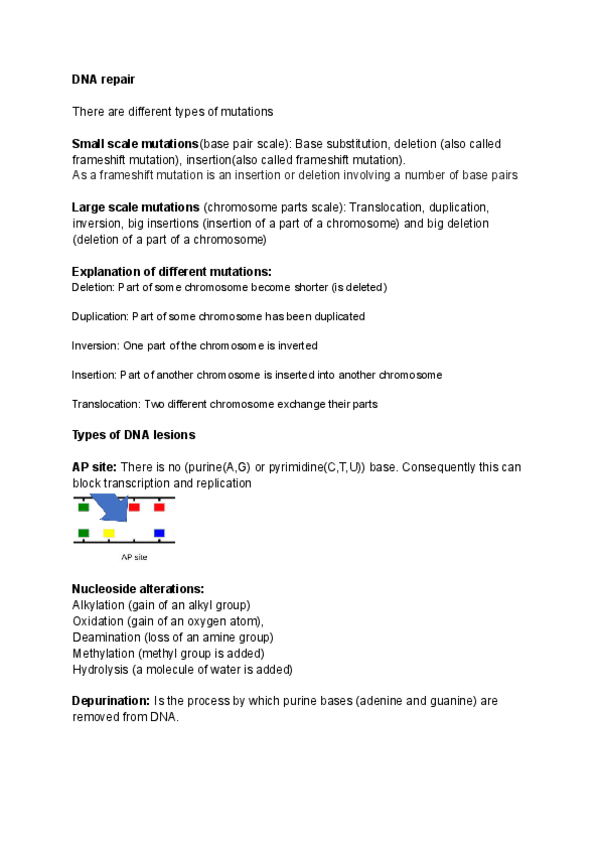 Miniatura del documento Lecture-5-DNA-repair.pdf