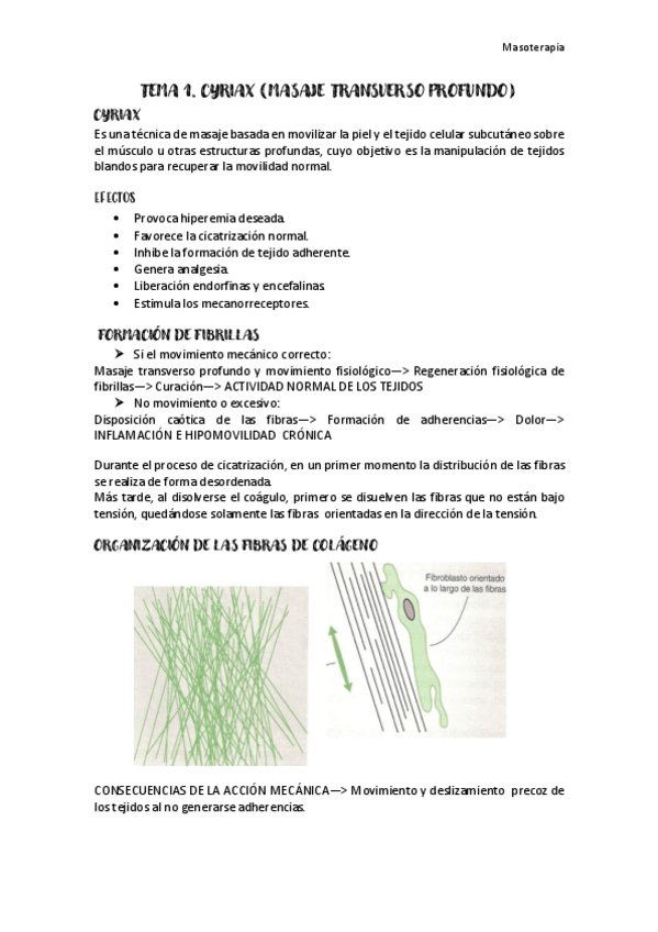 Miniatura del documento TEMA-1-MASOTERAPIA.pdf
