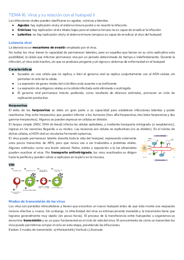 Miniatura del documento TEMA-16.-Virus-y-su-relacion-con-el-huesped-II.pdf