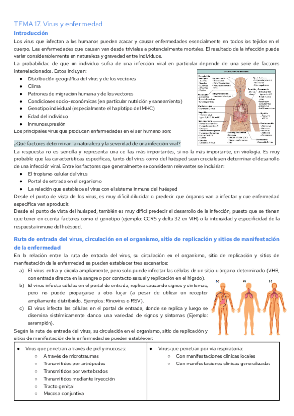 Miniatura del documento TEMA-17.-Virus-y-enfermedad.pdf