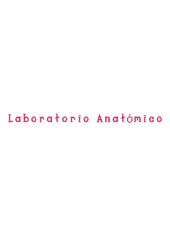 Miniatura del documento Practicas-de-Laboratorio-Neuroanatomia.pdf