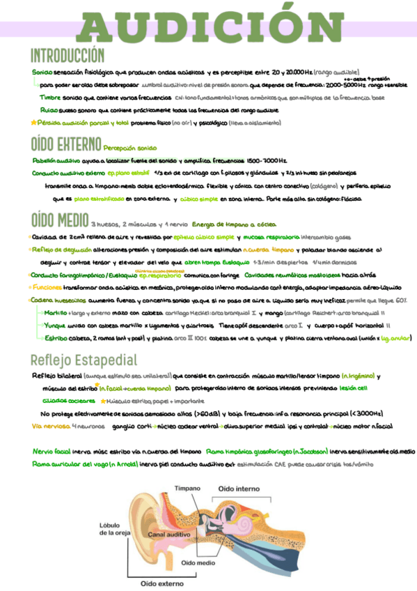 Miniatura del documento 9.-Audicion-con-Preguntas.pdf