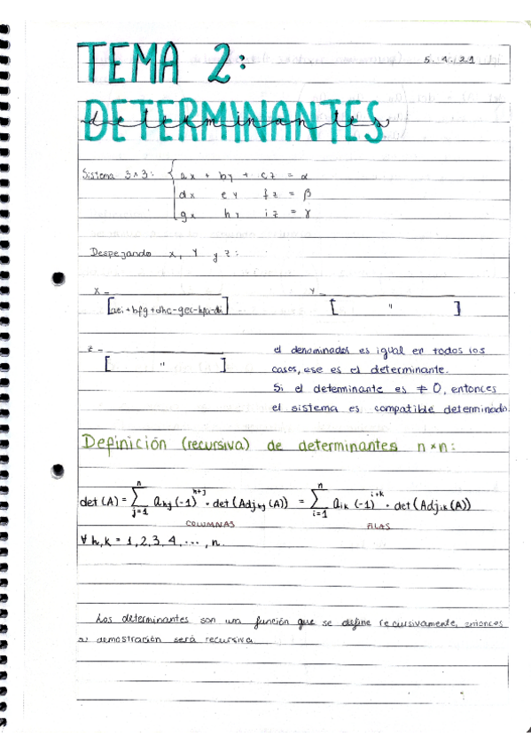 Miniatura del documento ALDeterminantes2.pdf