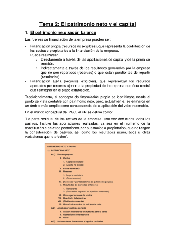Miniatura del documento Tema-2-El-patrimonio-neto-y-el-capital.pdf