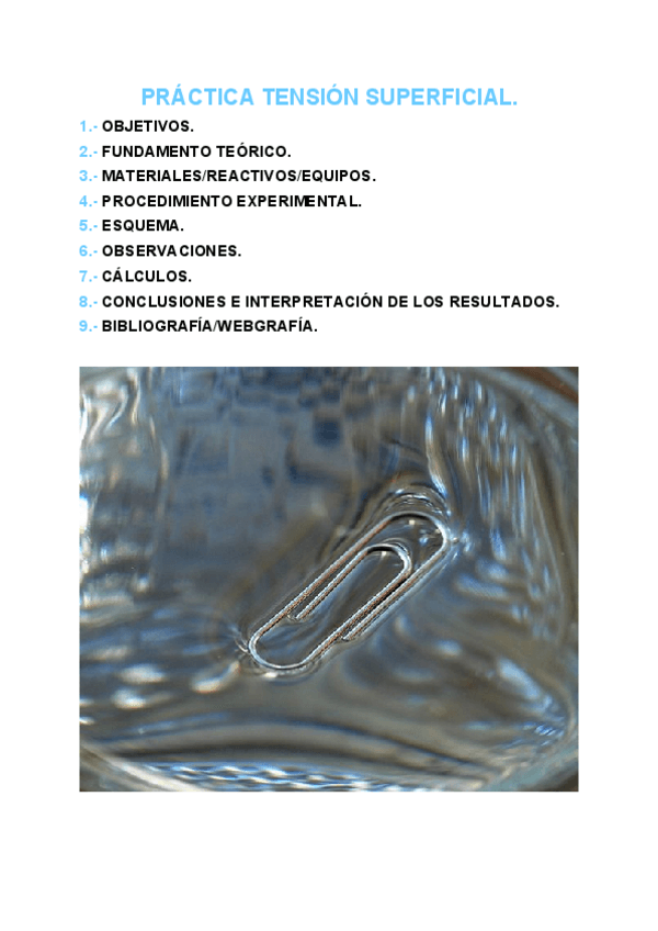 Miniatura del documento PRACTICA-TENSION-SUPERFICIAL-FQ.pdf