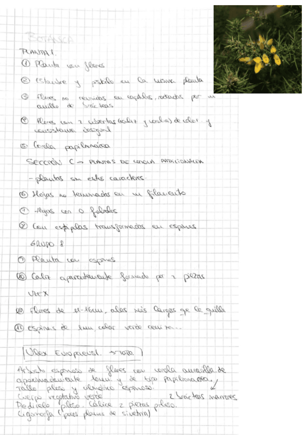 Miniatura del documento plantas-practica-bot.pdf