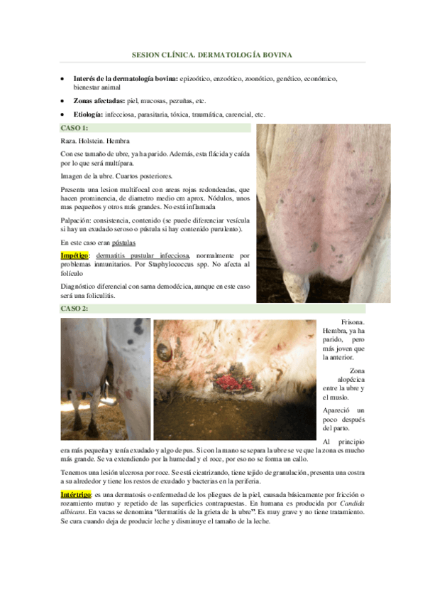 Miniatura del documento SESIONES-CLINICAS-BOV.2.pdf