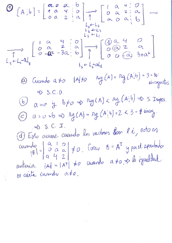 Miniatura del documento ExamenEnero2019Soluciones.pdf